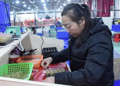 大龍企業 優質產品驅動訂單增長，培訓活動助力持續發展